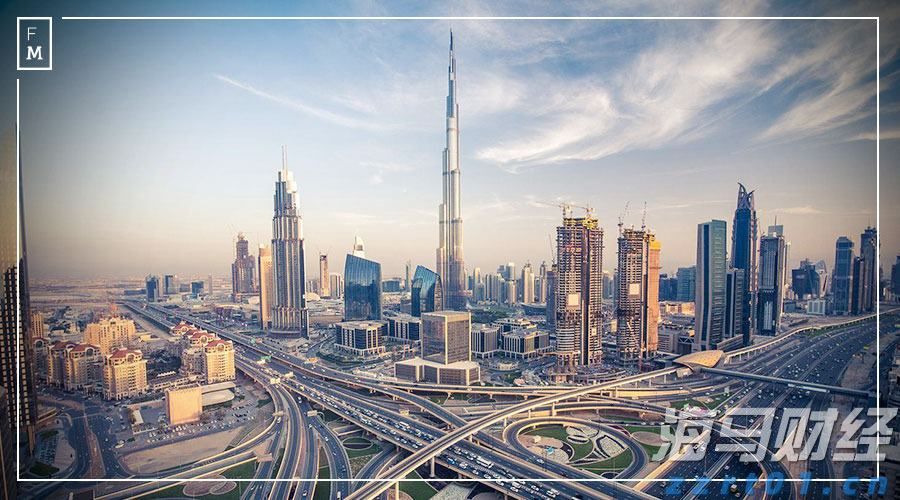 加快全产业链融合，“绿养郁南”书写生态农业发展新篇章